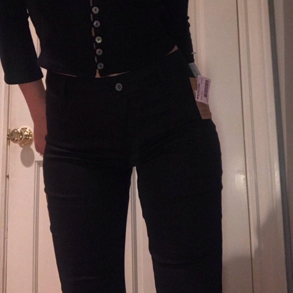 Dickies pants